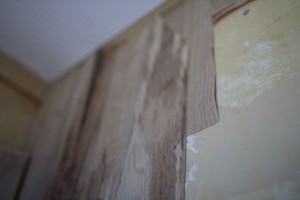 IMG_9814